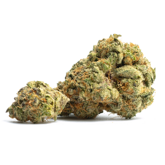 Baccio EXOTIC